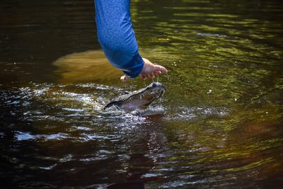 Low section of person in lake