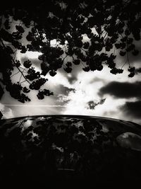 Silhouette of tree against cloudy sky