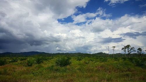 Scenic view of landscape against cloudy sky