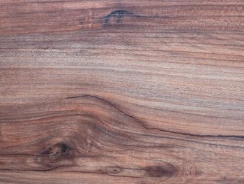 Surface wood texture in details. wood texture top. hardwood texture with knots. wooden texture 