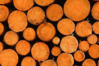 Full frame shot of logs