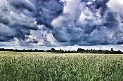 Scenic view of field against cloudy sky
