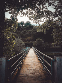 Footbridge along trees in village