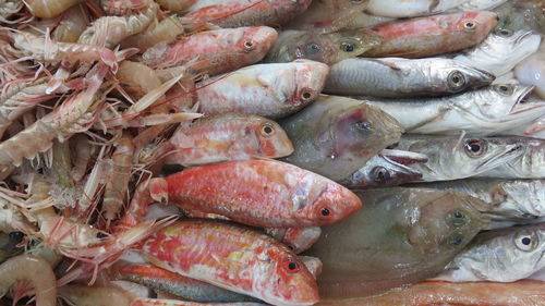 Detail shot of fish for sale