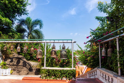 Potted plants in park against sky