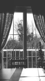 Bare trees against sky seen through window