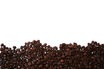 High angle view of coffee beans against white background