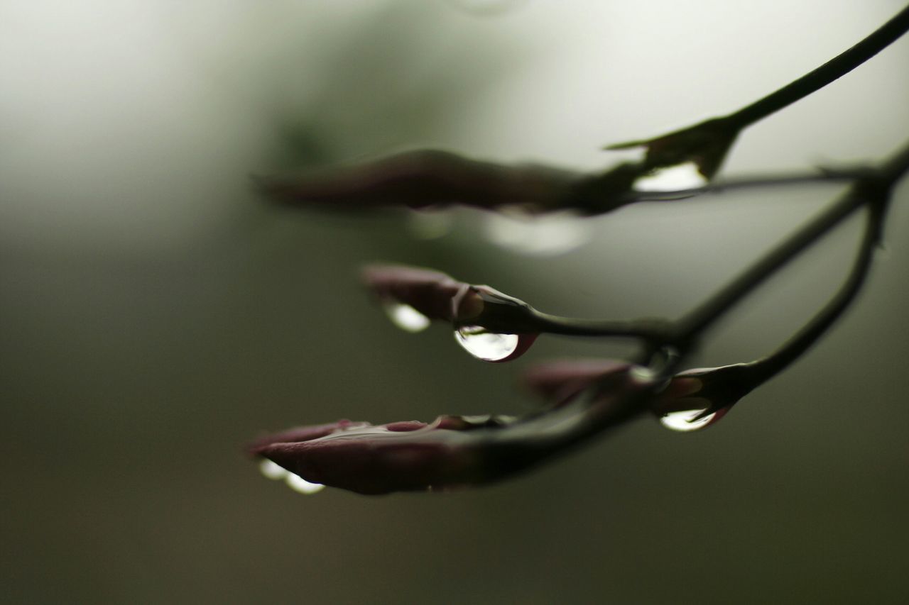 Macro beading