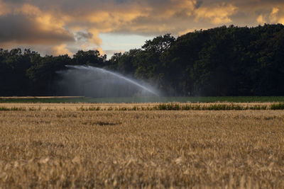 Scenic view of field against sky during sunset