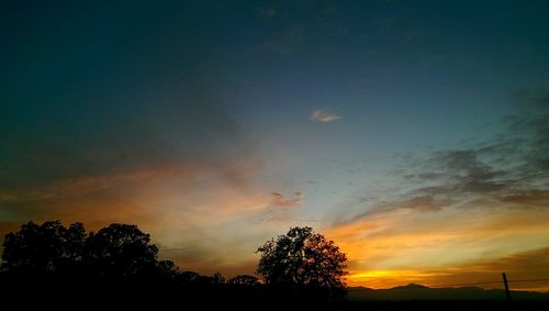 Silhouette of trees at sunset