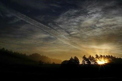 Silhouette of trees at sunset