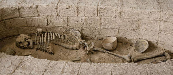 High angle view of cat on wall