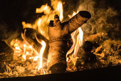 Close-up of fire on wood