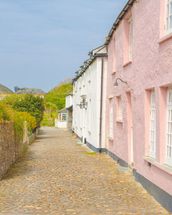 Footpath amidst houses against sky