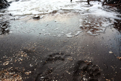 High angle view of puddle on beach