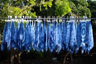 Blue clothes hanging on clothesline against trees