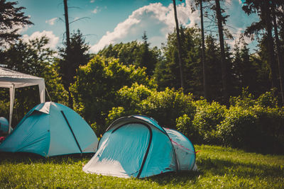 Tents on grassy land against plants in park