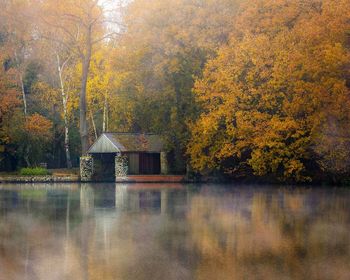 Scenic view of lake in forest during autumn