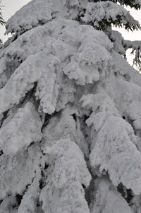 Close-up of snow on landscape