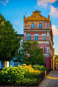 Buildings in city