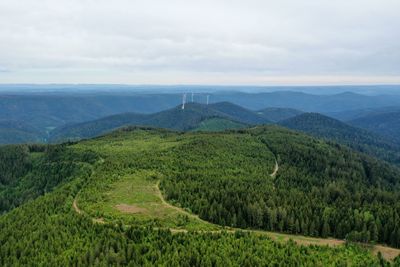 Black forest aerial landscape photography