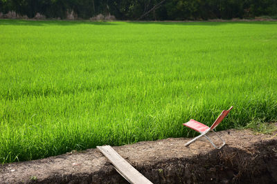 Scenic view of agricultural field