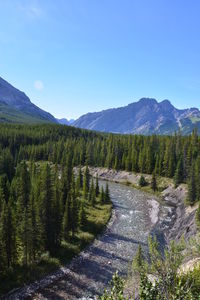 Narrow pathway along plants and mountains against blue sky