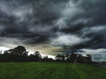 Trees on field against cloudy sky