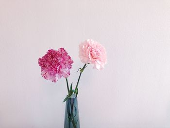 Close-up of pink flower vase against white background