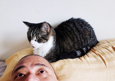 Cropped image of mid adult man with cat relaxing on bed against wall at home