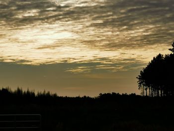 Silhouette trees on field against sky at sunset