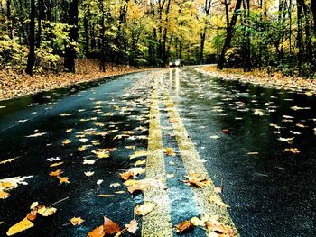 Road amidst trees in park during autumn