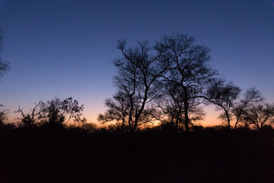 Silhouette bare trees on field against sky during sunset