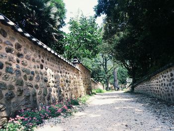 Narrow walkway along trees