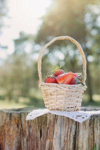 Close-up of fruits in basket