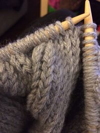 Close up of two horses