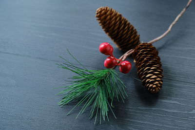 Close-up of pine cones on table