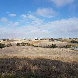 Surface level of agricultural field against sky