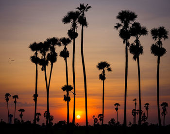 Silhouette palm trees against sky during sunset