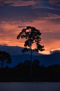 Silhouette tree by lake against sky during sunset