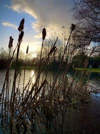 Scenic view of lake against sky during sunset