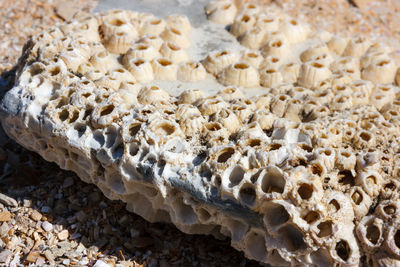 Close-up of rocks at beach