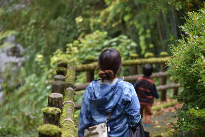Rear view of woman in forest