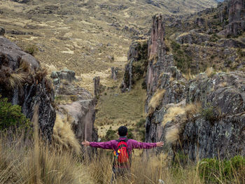 Rear view of man standing against landscape