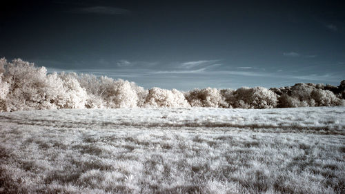 Scenic view of land against sky during winter