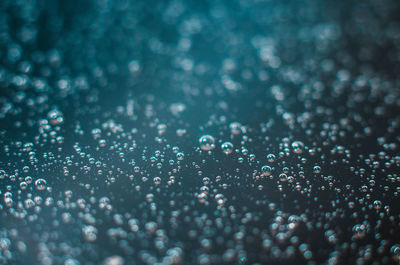 Close-up of water drops on rainy day