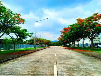 Empty road along trees