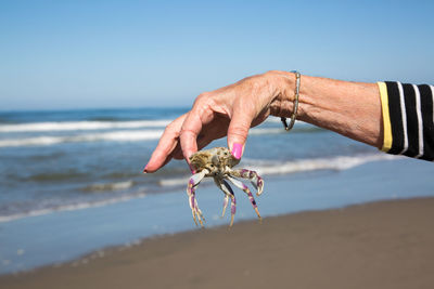 Close-up of hand holding sea against clear sky