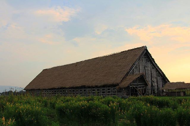 architecture, building exterior, built structure, grass, sky, house, field, rural scene, barn, plant, grassy, cloud - sky, growth, landscape, cloud, farm, agriculture, nature, residential structure, tranquil scene