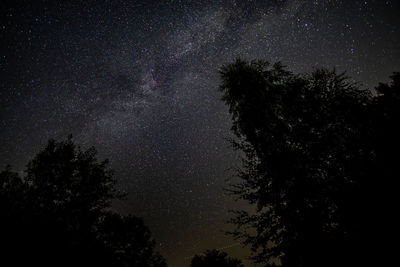 Low angle view of silhouette trees against sky at night